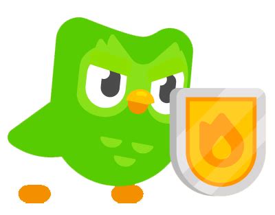 how to keep your duolingo streak|How we protect learner streaks from site issues.